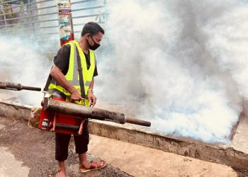 সিটি কর্পোরেশন