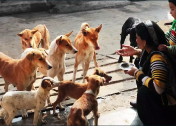 দেড়শ’ কুকুরের নামে পাঁচ কোটি টাকার সম্পত্তি!