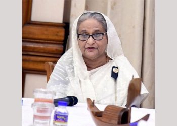 বিরোধী দল আন্দোলন করলে যেন ডিস্টার্ব করা না হয়: প্রধানমন্ত্রী