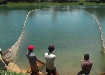 কাপ্তাই হ্রদে ১৭ আগস্ট থেকে মাছ ধরা শুরু