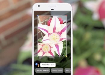 গুগল লেন্স ব্যবহার করবেন যেভাবে