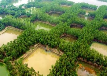 স্ত্রীকে ভালোবেসে ৩৬৫টি পুকুর খনন রাজার