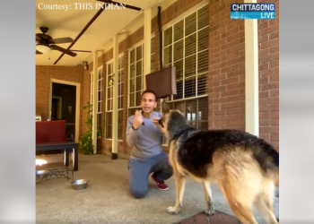 চিতা বাঁচাতে কুকুরের প্রশিক্ষণ