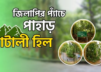 চট্টগ্রাম শহরের সবচেয়ে উঁচু পাহাড়