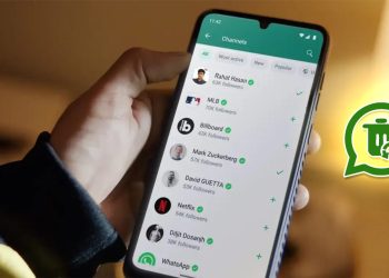 হোয়াটসঅ্যাপে চ্যাট ডিলিট হয়ে গেলে ফিরিয়ে আনবেন যেভাবে