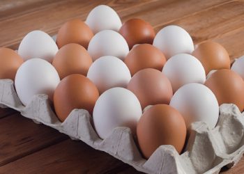 মুরগির ডিম সাদা ও বাদামি হয় কেন