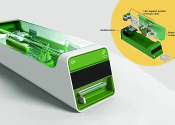 প্রাণীর মস্তিষ্কের কোষে চলে কম্পিউটার