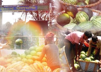 রমজানে কদর বেড়েছে তরমুজের দাম আকাশচুম্বী