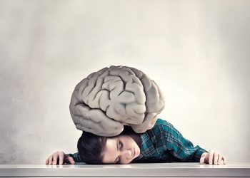 হাঁটুতে বুদ্ধি রেখে চলে যেসব প্রাণী