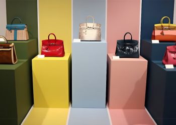 টাকা থাকলেই কেনা যাবে না যে ব্যাগ