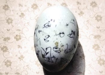 এক ডিমের দাম ২২ হাজার টাকা