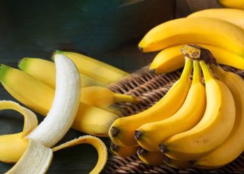 কলা খেলে সত্যিই কি ওজন বাড়ে, কী বলছেন পুষ্টিবিদ
