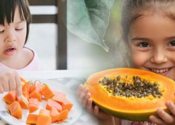 শিশুদের কি পেঁপে খাওয়ানো যাবে?