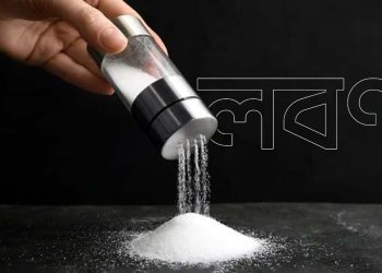 শরীরের নীরব শত্রু লবণ