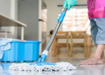 যেভাবে ঘর মুছলে আরশোলা টিকটিকি ও পিঁপড়ার উপদ্রব থেকে বাঁচবেন