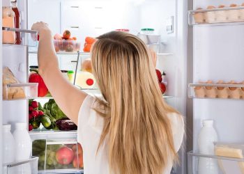 বর্ষায় ফ্রিজের তাপমাত্রা কত রাখবেন