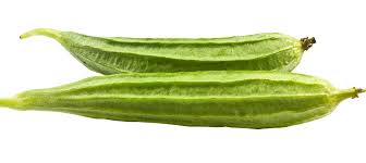 গরমে ঝিঙা খাওয়ার উপকারিতা জানলে অবাক হবেন