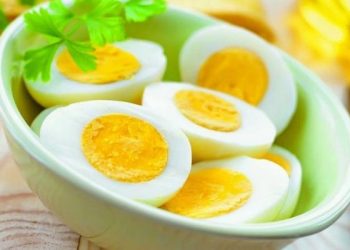 ডিম নিয়ে চমকপ্রদ তথ্য দিল অস্ট্রেলিয়ার বিশ্ববিদ্যালয়