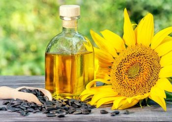 সূর্যমুখী তেল কি আপনার জন্য ক্ষতিকর?