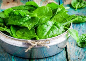 বর্ষায় শাকপাতা খান নিয়ম মেনে