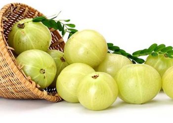 এক আমলকীতে ১০ কমলার সমান ভিটামিন সি, খেতে পারবেন না যারা