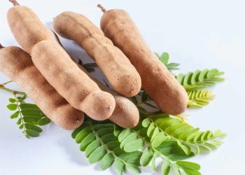 যত গুণ তেঁতুলে