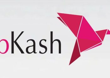 বিকাশে ভুল নাম্বারে টাকা পাঠিয়ে ফেললে করণীয় কী