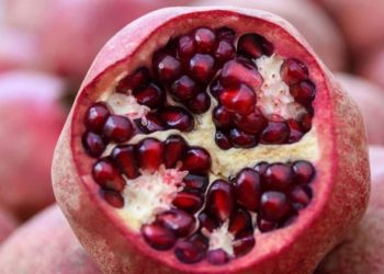 প্রতিদিন বেদানা খেলেই শরীরে ঘটে যে ১০ পরিবর্তন