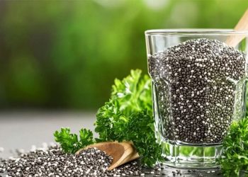 শুকনো নাকি ভেজা—কীভাবে খাবেন চিয়া সিড?