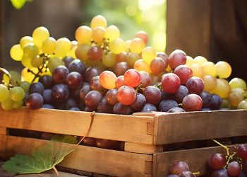 যে রঙের আঙুর সবচেয়ে পুষ্টিকর