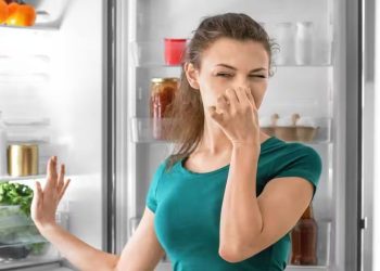 ফ্রিজ খুললেই দুর্গন্ধ, যেভাবে পাবেন মুক্তি
