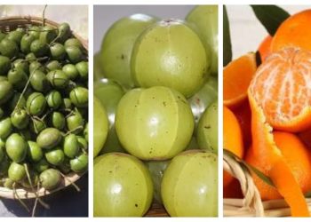 কেন জলপাই আমলকি কমলা খাবেন?