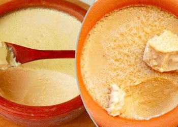 ভারি খাবারের পর মিষ্টি নাকি টকদই—কোনটি ভালো?