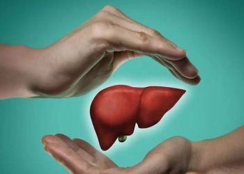 লিভার সুস্থ রাখতে এড়িয়ে চলবেন যেসব খাবার