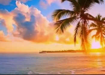 আল্লাহ যে কাজে সবচেয়ে বেশি আনন্দিত হন