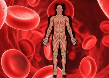 শরীরে আয়রনের ঘাটতি আছে কিনা বুঝবেন যেভাবে