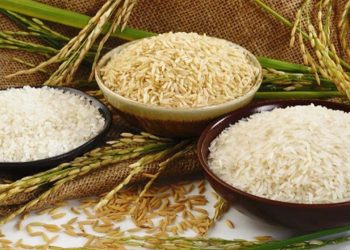 ধান-চালের সরকারি দাম নির্ধারণ