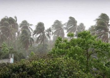 দুপুরের মধ্যে যেসব অঞ্চলে ঝড় ও বজ্রবৃষ্টির আভাস