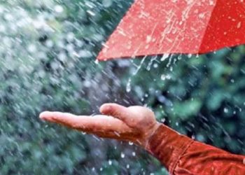 বৃষ্টির পানি কি পবিত্র?