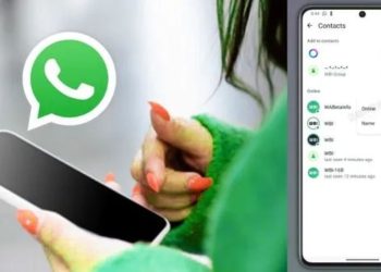 চ্যাট না খুলেই অনলাইনে কে আছে দেখাবে এবার হোয়াটসঅ্যাপ