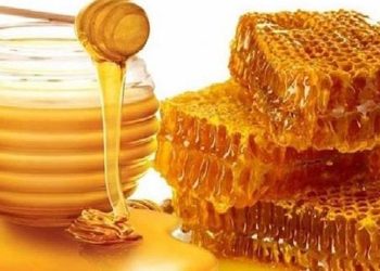 মধু খাওয়ার আগে যে ৫ বিষয় জানা প্রয়োজন